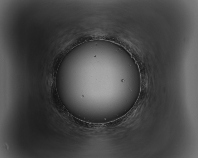 X0000100311157200806190936