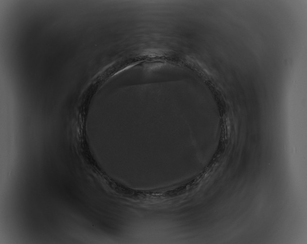 X0000100311158200806190936