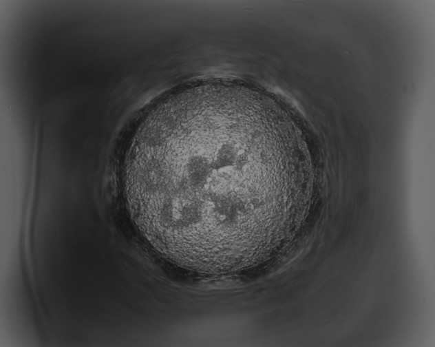 X0000100311159200806190936