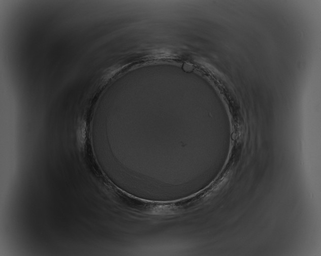 X0000100311161200806190936