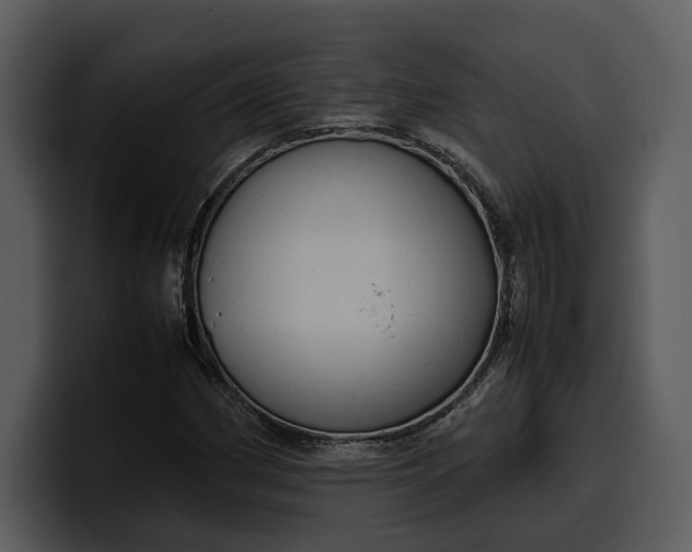X0000100311162200806190936