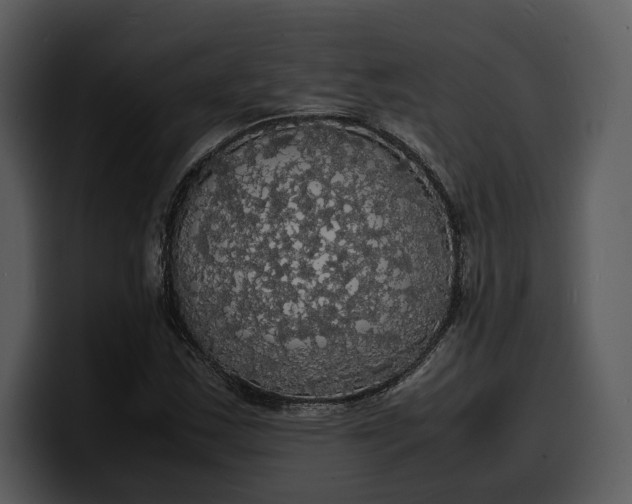 X0000100311163200806190936