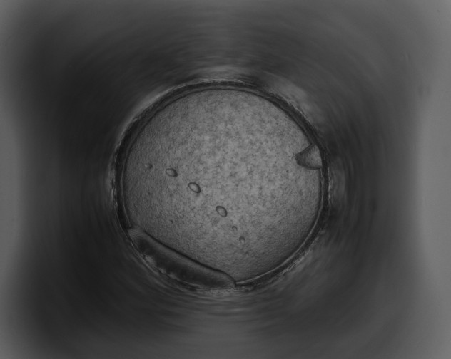 X0000100311164200806190936