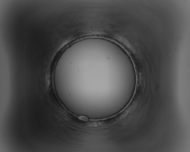 X0000100311165200806190936