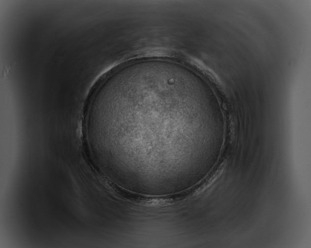 X0000100311166200806190936