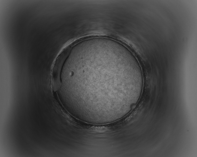 X0000100311168200806190936