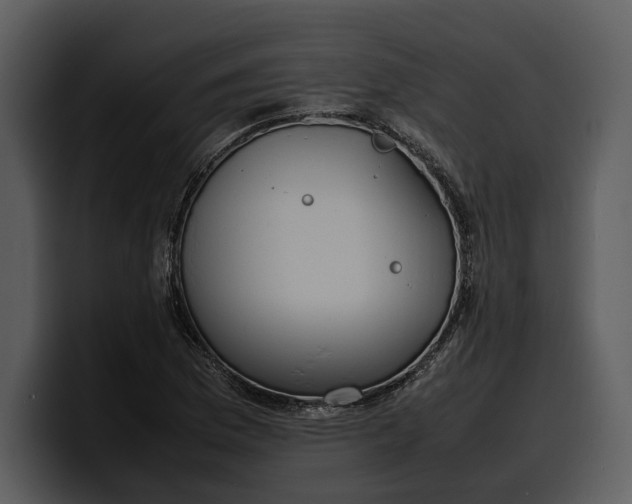 X0000100311169200806190936