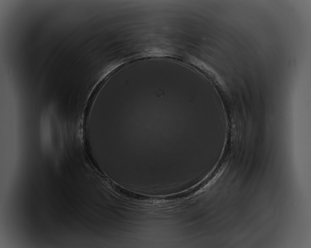 X0000100311170200806190936