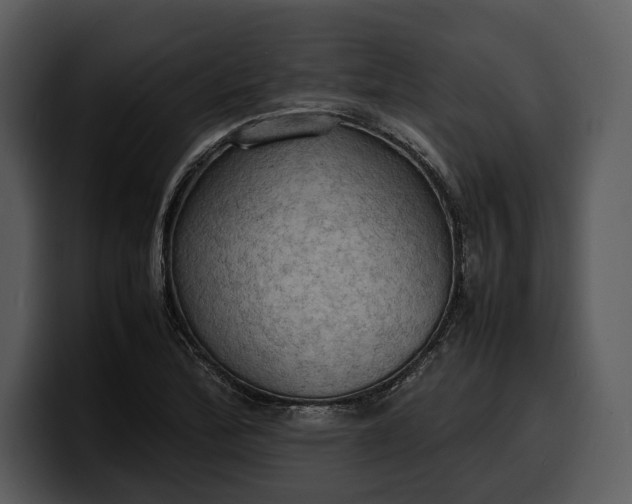 X0000100311172200806190936