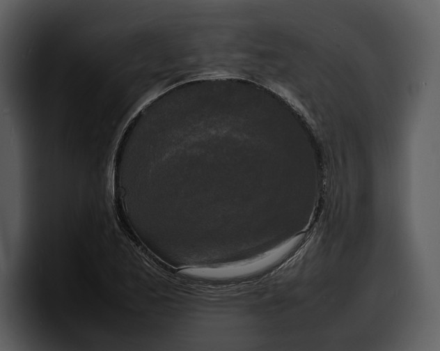 X0000100311173200806190936