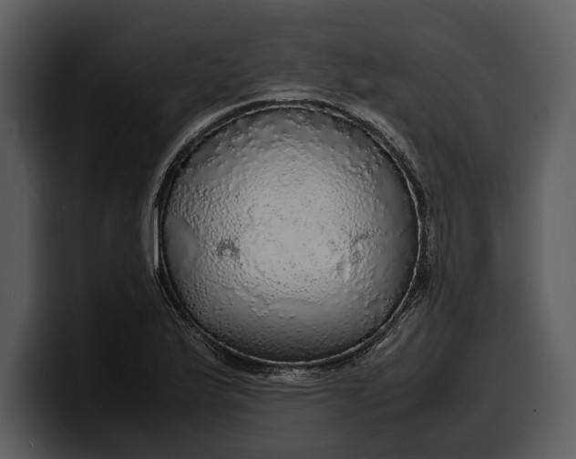 X0000100311175200806190936