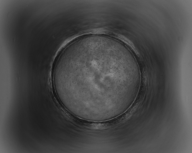 X0000100311176200806190936