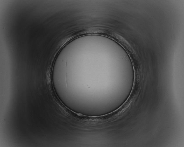 X0000100311177200806190936