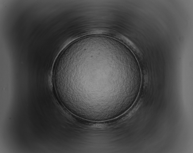 X0000100311178200806190936