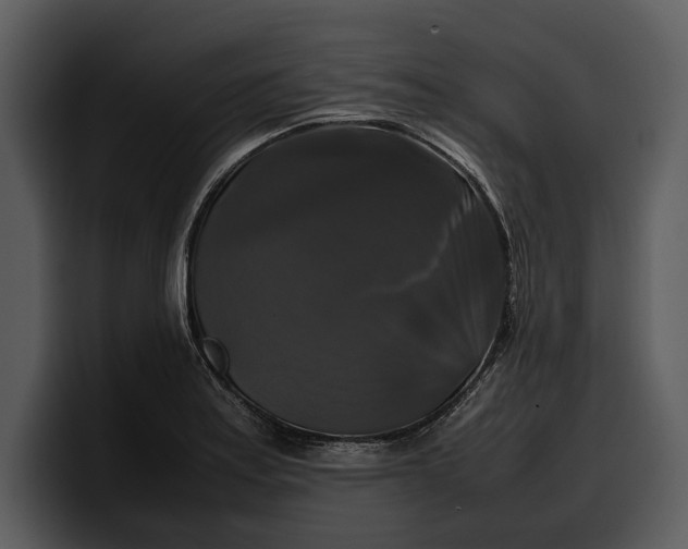 X0000100311179200806190936