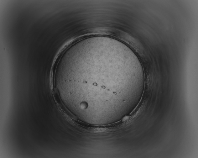 X0000100311180200806190936