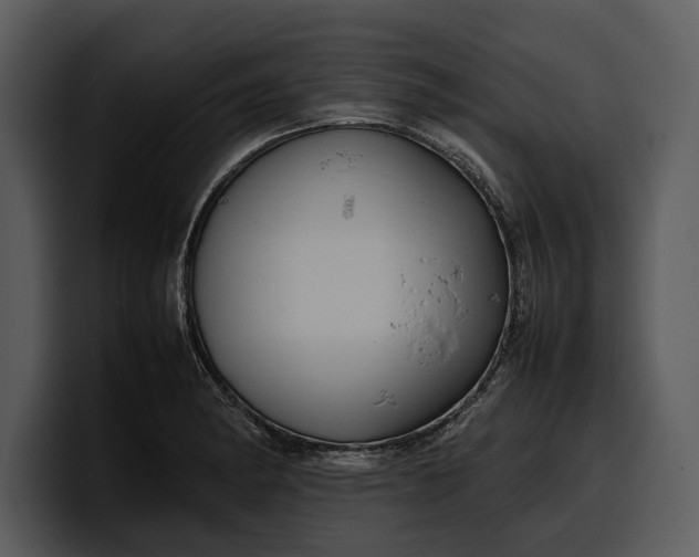 X0000100311182200806190936