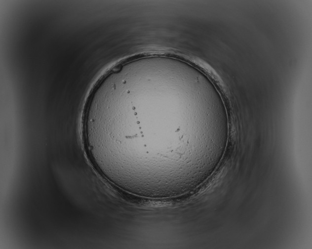 X0000100311183200806190936