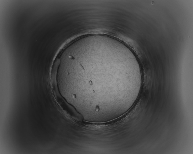 X0000100311184200806190936