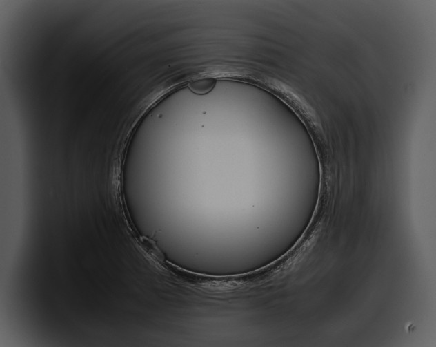X0000100311185200806190936