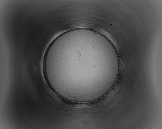 X0000100311187200806190936