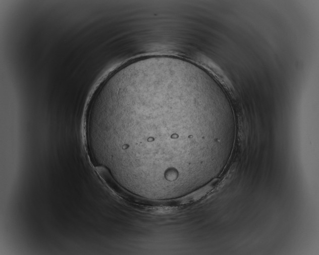 X0000100311188200806190936