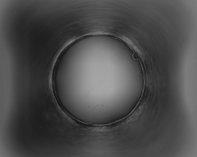 X0000100311189200806190936