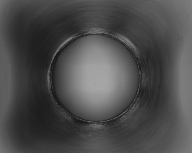 X0000100311190200806190936