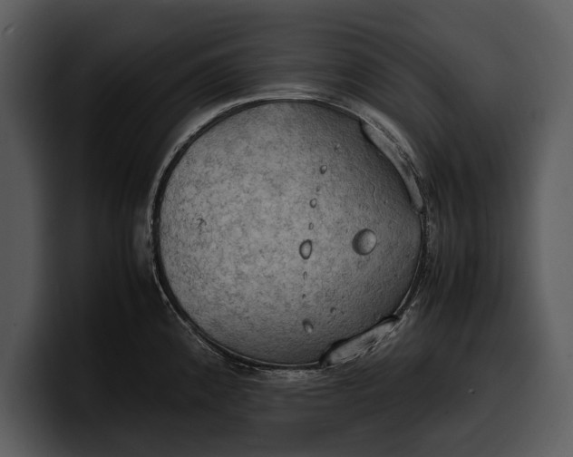 X0000100311192200806190936