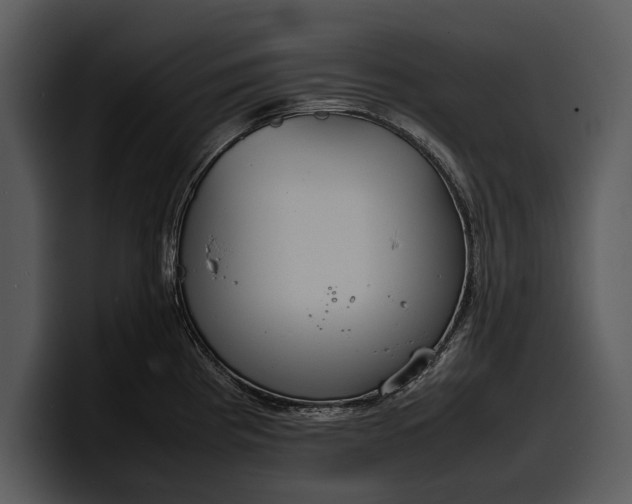 X0000100311193200806190936