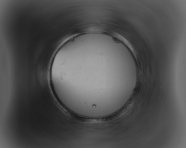 X0000100311195200806190936