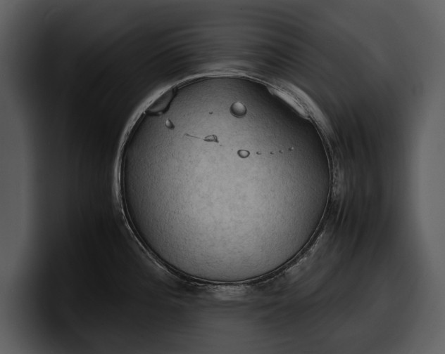 X0000100311196200806190936