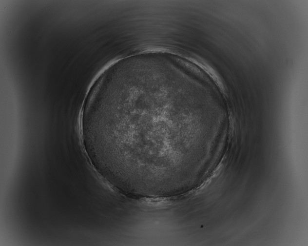 X0000100311198200806190936