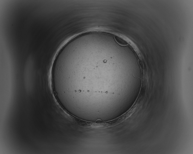 X0000100311199200806190936