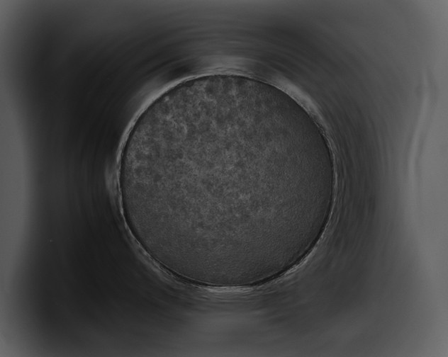 X0000100311200200806190936