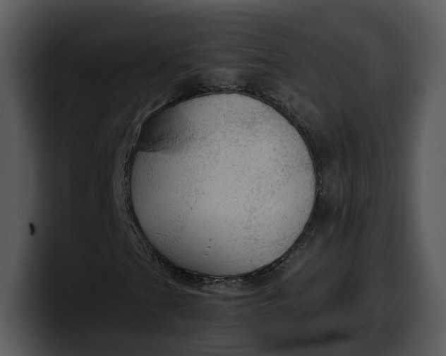X0000100311201200806190935