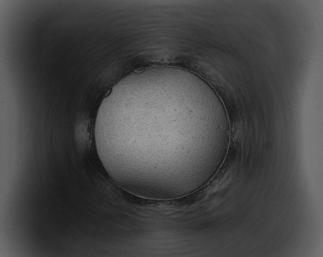X0000100311202200806190935