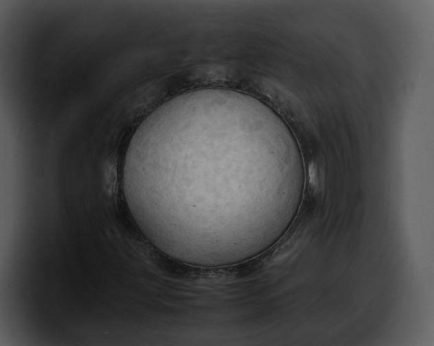 X0000100311203200806190935