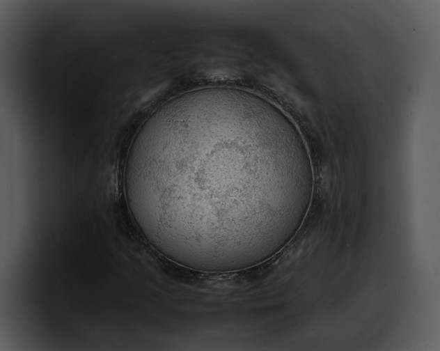 X0000100311205200806190935