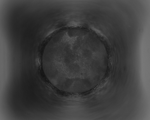 X0000100311206200806190935