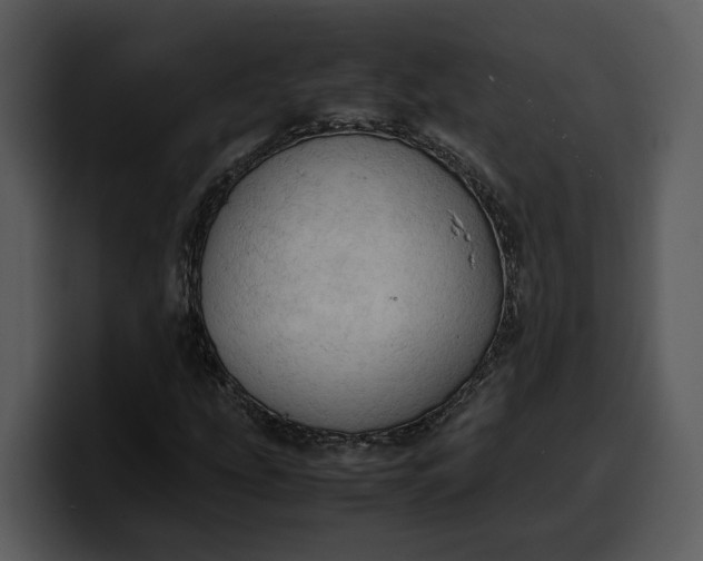 X0000100311207200806190935