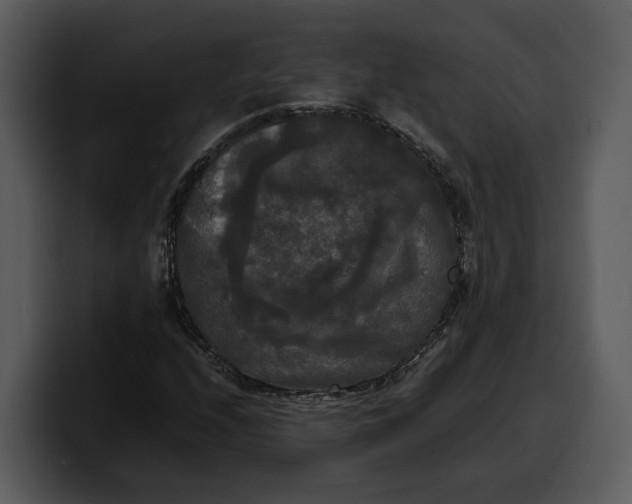X0000100311208200806190935