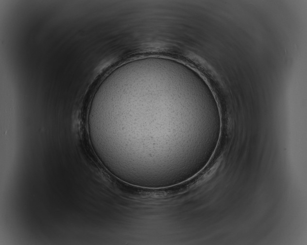 X0000100311210200806190935
