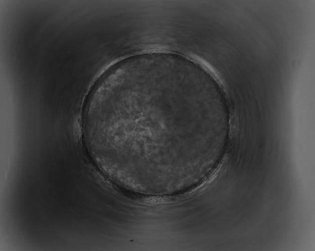 X0000100311212200806190935