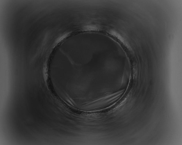 X0000100311213200806190935