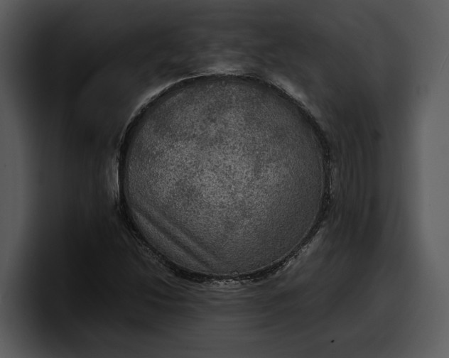 X0000100311214200806190935