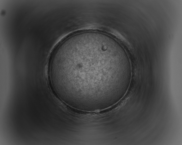 X0000100311216200806190935
