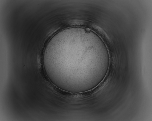 X0000100311217200806190935