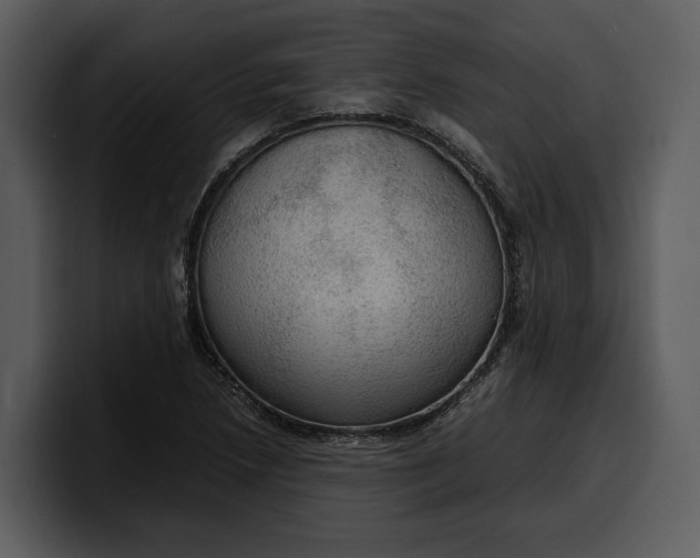 X0000100311218200806190935
