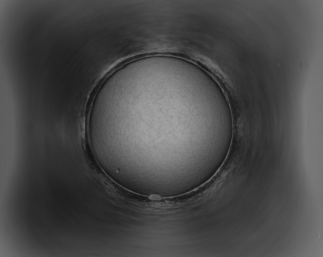 X0000100311220200806190935